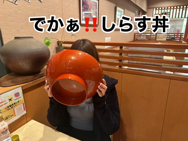 名物　しらす丼